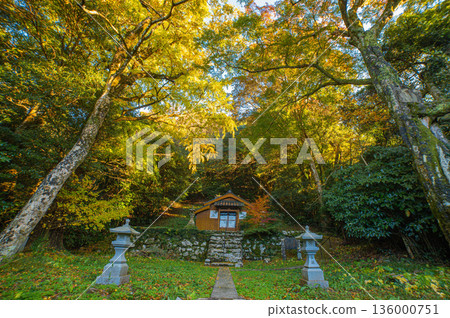 吉田大名神神社的秋葉 136000751