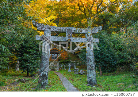 吉田大名神神社的秋葉 吉田大名神神社的秋葉 136000757