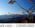 Winter scenery seen from the Okunoin and terrace/observation deck at the summit of Mt. Hodo 136001060