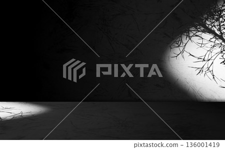 Grey Black Dark Background Floor Shadow Wall Kitchen Concrete White Texture Light Texture Abstract Mockup Product Marble Room Studio Display Plant Cement Minimal Shelft Silhouette Leaves Backdrop. 136001419
