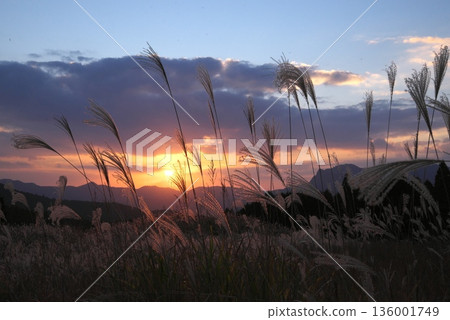 Susuki在夕陽染色 Susuki在夕陽染色 136001749