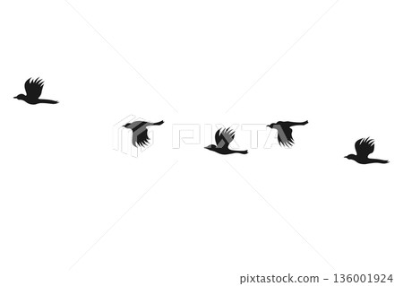 飛翔的烏鴉剪影插圖 飛翔的烏鴉剪影插圖 136001924