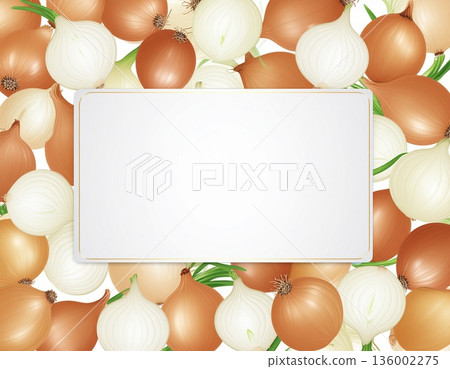 Onion and white background 136002275