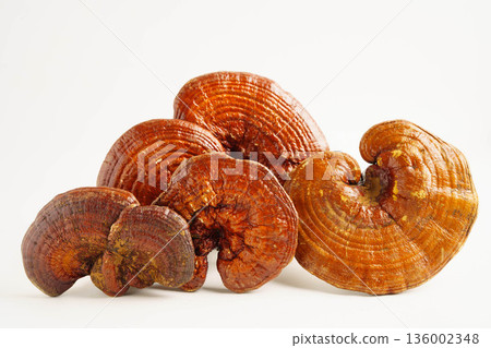 Lingzhi or Reishi mushroom with capsules, organic natural healthy food. 136002348