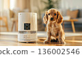 Curious cocker spaniel puppy observes smart pet feeder in warm modern living room 136002546