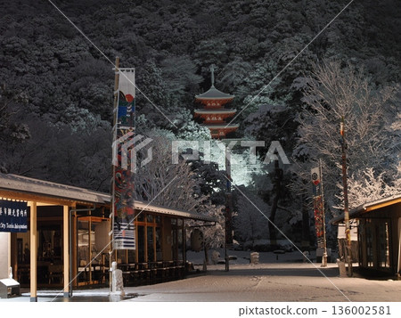 Gifu Park on a snowy day 136002581