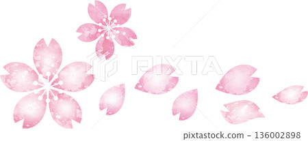Hand-drawn watercolor illustration set of cherry blossoms. Vector images of blooming flowers, buds, and falling petals. Hand-drawn watercolor illustration set of cherry blossoms. Vector images of blooming flowers, buds, and falling petals. 136002898