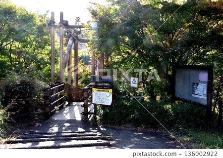 Odawara Children's Forest Park Wanpaku Land's Wanpaku Bridge entrance and autumn leaves in Kanagawa Prefecture Odawara Children's Forest Park Wanpaku Land's Wanpaku Bridge entrance and autumn leaves in Kanagawa Prefecture 136002922