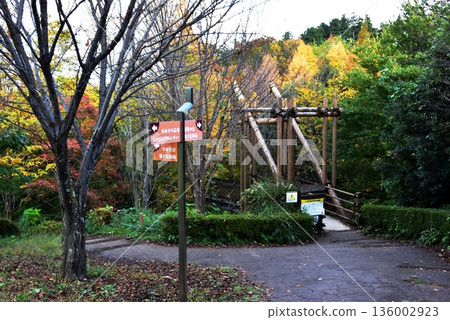 小田原兒童森林公園、萬博樂園的萬博橋入口以及神奈川縣的秋葉 136002923