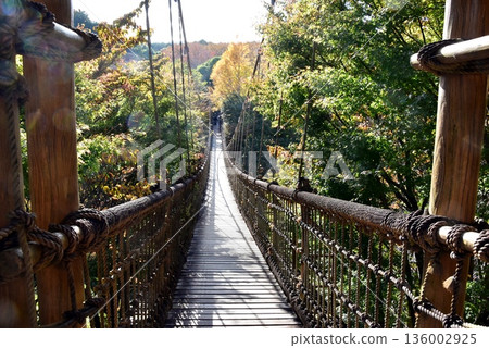 神奈川縣小田原兒童森林公園的萬博樂園，萬博橋與秋葉 136002925