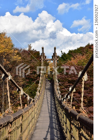 神奈川縣小田原兒童森林公園的萬博樂園,萬博橋與秋葉 神奈川縣小田原兒童森林公園的萬博樂園,萬博橋與秋葉 136002927