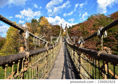 神奈川縣小田原兒童森林公園的萬博樂園,萬博橋與秋葉 神奈川縣小田原兒童森林公園的萬博樂園,萬博橋與秋葉 136002928