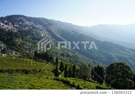Scenic view of lush green tea gardens on a mountain slope with a hillside town background Scenic view of lush green tea gardens on a mountain slope with a hillside town background 136003322