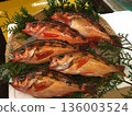 剛被釣上來就閃閃發光！石斑魚，竹籃魚，春兆魚，石斑魚 136003524