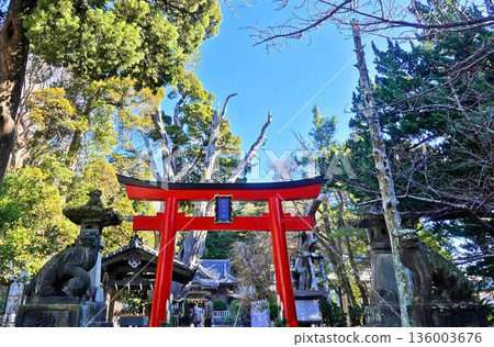 The solemn grounds of Shirahama Shrine The solemn grounds of Shirahama Shrine 136003676