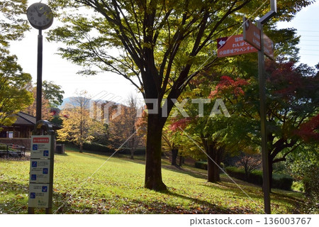 小田原兒童森林公園、萬白樂園兒童火車探險山站以及神奈川縣的秋葉 136003767