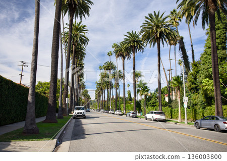 Palm tree lined residential street in California on sunny day 136003800