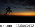 sunset, tree, evening scene 136003932