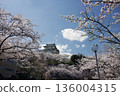 The castle stands tall on a mountain covered in cherry blossoms, surrounded by blue skies. 136004315