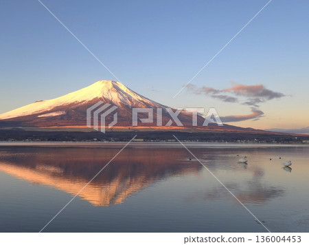 紅富士和倒富士(山中湖) 紅富士和倒富士(山中湖) 136004453
