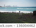 bird, beach, birds 136004462