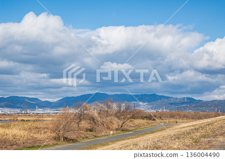 Winter at the exit area of Yodogawa River Park, Hirakata City, Osaka Prefecture 136004490