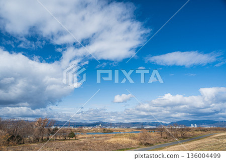 Winter at the exit area of Yodogawa River Park, Hirakata City, Osaka Prefecture 136004499