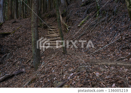 Mt. Sobo hiking trail (Kazeana course) Mt. Sobo hiking trail (Kazeana course) 136005219