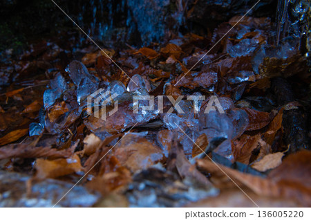 索博山健行道附近的冰柱 136005220