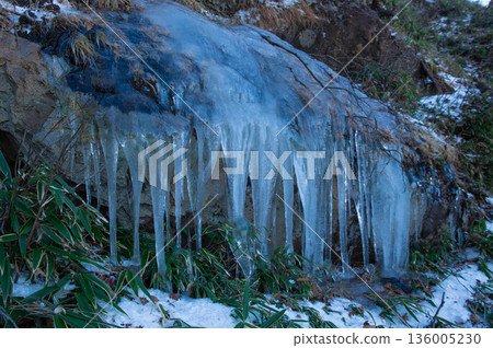 Icicles near the Mt. Sobo hiking trail Icicles near the Mt. Sobo hiking trail 136005230