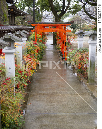 An old shrine gate and approach wet with rain An old shrine gate and approach wet with rain 136005306
