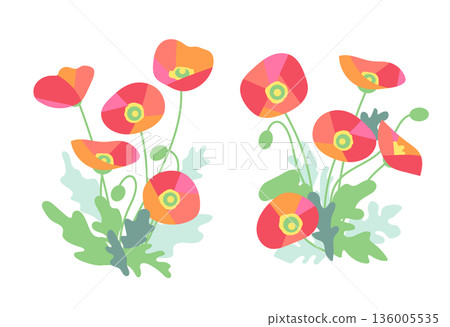 Blooming red poppy flowers Blooming red poppy flowers 136005535