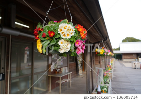 Suspended flowers Suspended flowers 136005714