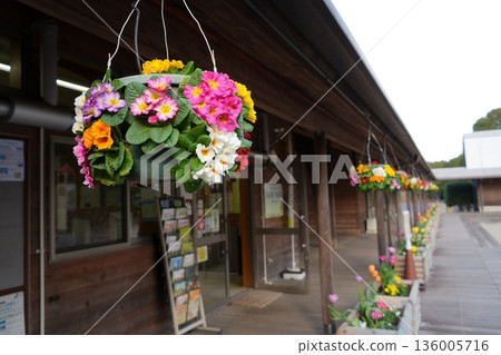 懸浮的花朵 懸浮的花朵 136005716