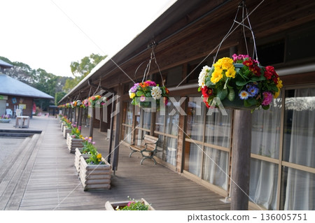 Suspended flowers 136005751