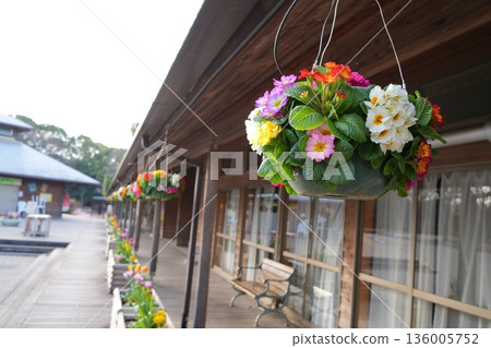 Suspended flowers 136005752