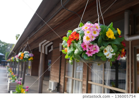 Suspended flowers Suspended flowers 136005754