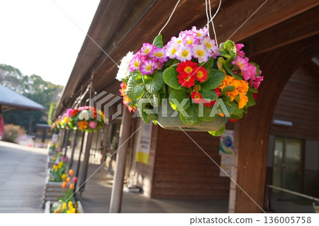 懸浮的花朵 懸浮的花朵 136005758