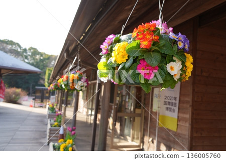 懸浮的花朵 136005760