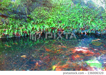 水、石、苔蘚景觀 2 水、石、苔蘚景觀 2 136006320