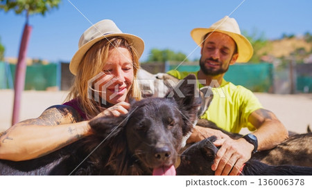 Couple interacting with dogs at animal shelter in summer 136006378