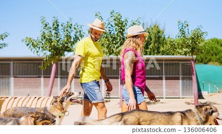 Couple walking dogs at animal shelter for adoption Couple walking dogs at animal shelter for adoption 136006406