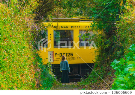 A train passing through a forest tunnel A train passing through a forest tunnel 136006609