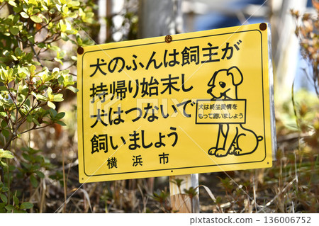 日本橫濱市的城市景觀:「狗主人應該把狗糞帶回家清理乾淨,並用牽引繩拴住狗」以及「狗是一生的摯愛…」= 橫濱市 日本橫濱市的城市景觀:「狗主人應該把狗糞帶回家清理乾淨,並用牽引繩拴住狗」以及「狗是一生的摯愛…」= 橫濱市 136006752