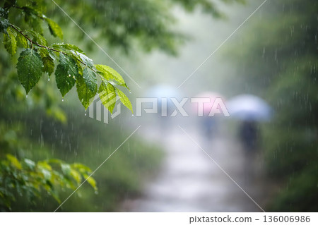 Spring nature with warm sunlight Background Photos 136006986