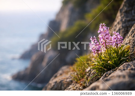 陽光溫暖的春日自然風光背景照片 136006989