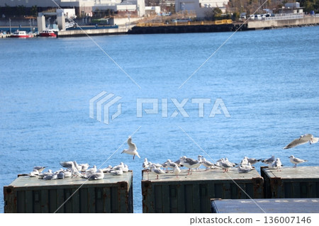 A view of the ocean with lots of seabirds and blue water on top of the trailer 136007146