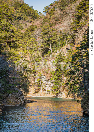 靜岡縣川根本町須摩多峽谷的景色 136007526