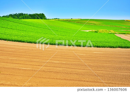 北海道美瑛山 136007606