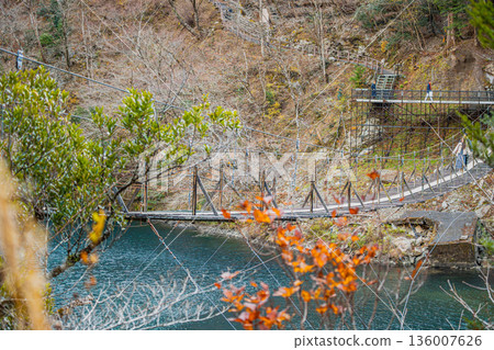 位於川根町(靜岡縣)的洲又峽夢幻大吊橋的景色 位於川根町(靜岡縣)的洲又峽夢幻大吊橋的景色 136007626
